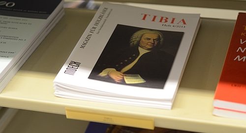 TIBIA